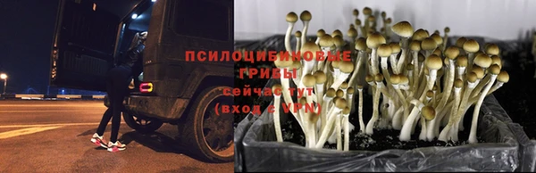 трава Приозерск